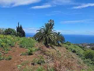 Terreno en venta en Breña Alta