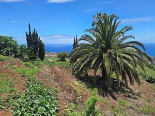 Terreno en venta en Breña Alta