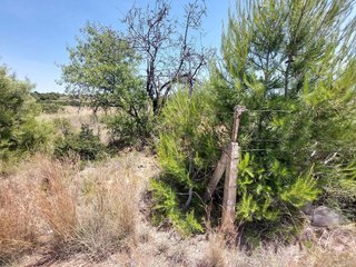 Terreno en venta en El Corralet - Bonanza - Tres Rutas en Náquera