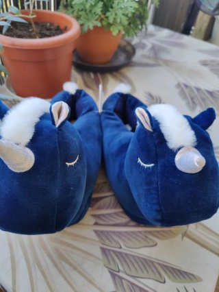 Zapatillas Unicornios