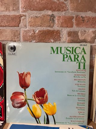 Lote 12 Vinilos Música Española
