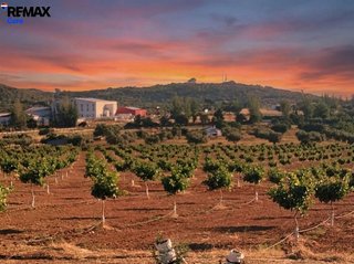 Terreno en venta en Higuera la Real
