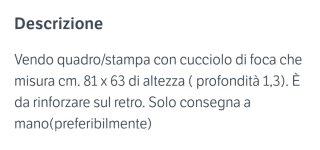 Stampa cucciolo foca Save Us