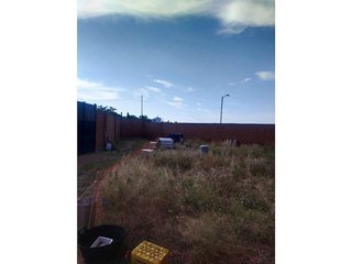 Local comercial en venta en Membrilla