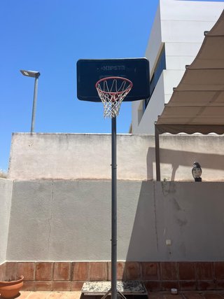 Canasta de baloncesto