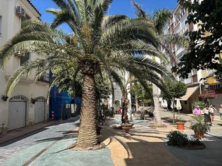 Local comercial en venta en Centro Urbano en Estepona