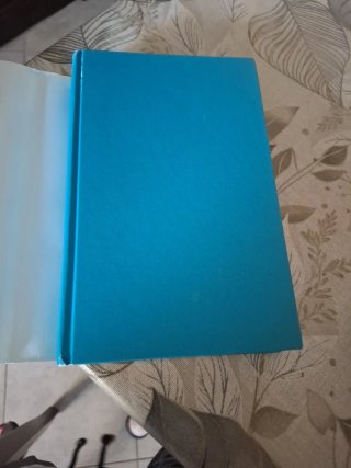 Un anno felice romanzo