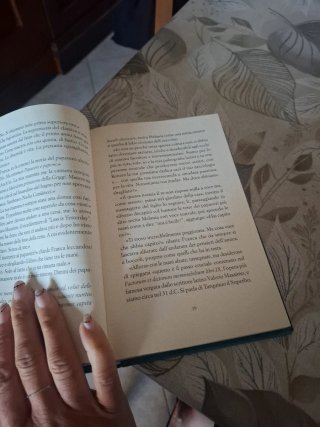 Un anno felice romanzo