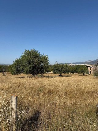 Terreno en venta en Zona periurbana en Inca