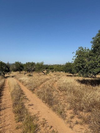 Terreno en venta en Zona periurbana en Inca