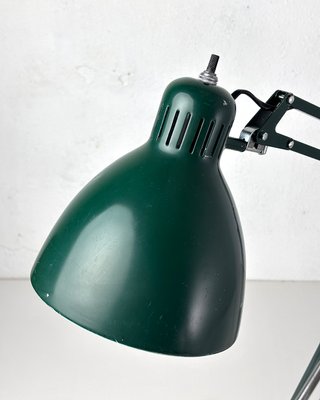 Lampada Naska Loris Luxo L-1 Verde Bosco