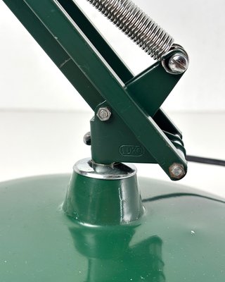 Lampada Naska Loris Luxo L-1 Verde Bosco