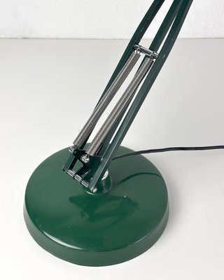 Lampada Naska Loris Luxo L-1 Verde Bosco