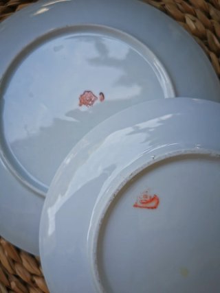 2 Platos asiáticos decorados