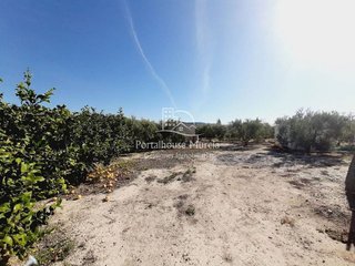 Terreno en venta en Mula