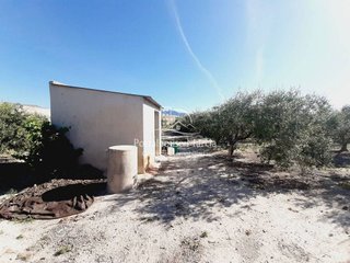 Terreno en venta en Mula