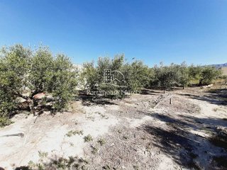 Terreno en venta en Mula