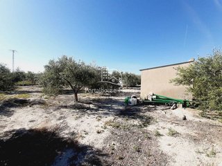 Terreno en venta en Mula