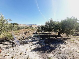 Terreno en venta en Mula