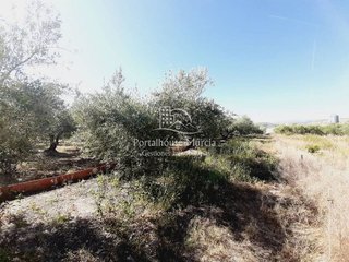 Terreno en venta en Mula