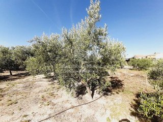 Terreno en venta en Mula