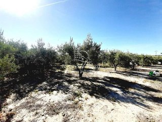 Terreno en venta en Mula