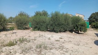 Terreno en venta en Barriomar en Murcia