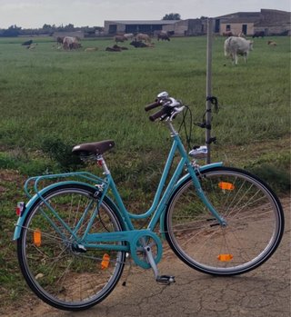 Bicicleta Paseo Bianchi Celeste