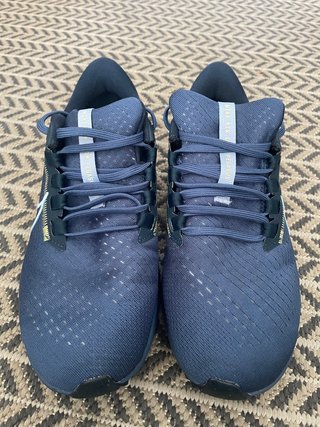 Nike Pegasus Zapatillas Running Azul/Blanco