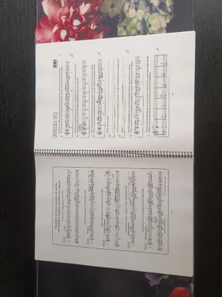 Libro Teoría del Lenguaje Musical 1
