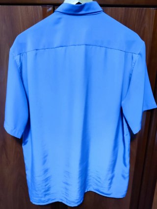 Camisas de hombre de vestir de manga corta.