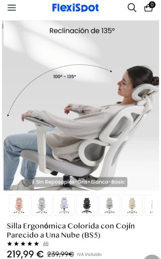 Silla Ergonómica FlexiSpot BS5 Gris/Blanco