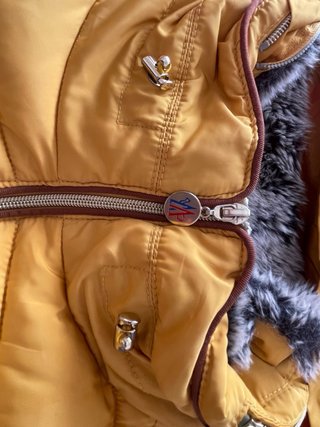 Moncler piumino donna giallo