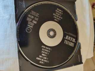 Bleach dei nirvana