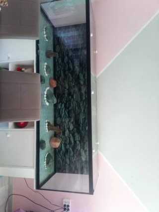 Acuario 600L con mueble