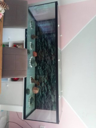 Acuario 600L con mueble