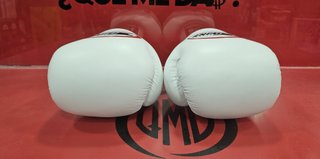 Guantes de Boxeo Twins Special BGVL3 White, Nuevos