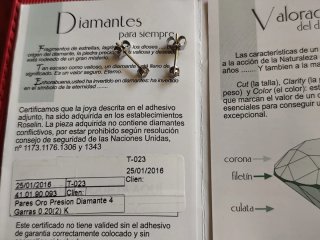 Pendientes Roselin Oro Blanco y Brillantes