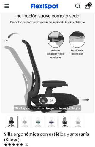 Silla ergonómica FlexiSpot (Negra)