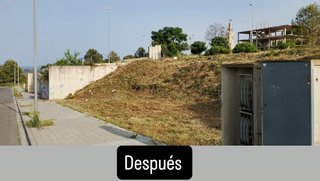 Se hacen desbroces a mano