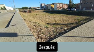 Se hacen desbroces a mano