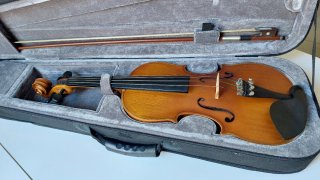 Violín 4/4 Halsstatt