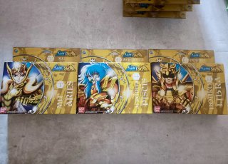 Collezione completa di figure dei Cavalieri dello Zodiaco (Saint Seiya)