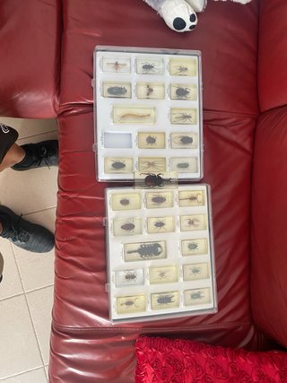 figuras de assassin creed y varias
