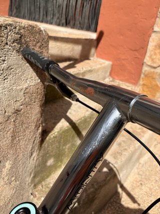 Bicicleta Trial Monty X Alp 219