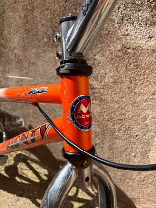 Bicicleta Trial Monty X Alp 219