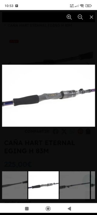 Caña de pescar calamar HART ETERNAL EGING H 83M