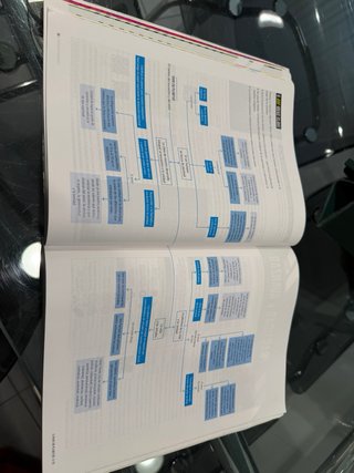 Proyecto: FanFest - Religión Católica 1 Bachill...