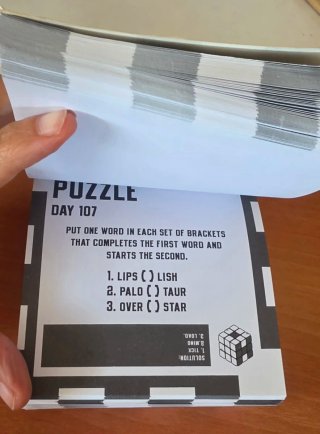 Puzzle a Day 365 Brain Bending Puzzles