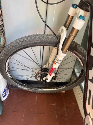 Bicicleta Orbea Alma 29 Carbono